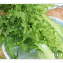 옛날쌈밥 이미지