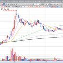 비젼바이오랩 이미지