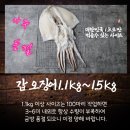 옥경이펜션 | 군산 반건조갑오징어 소개 (옥경이네 보다 반값 이하로 구매가능)
