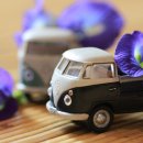 코스오토 이미지