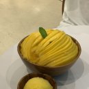 카페망고