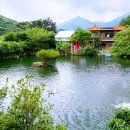 등나무집민박 이미지