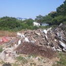 가고파플라워 이미지