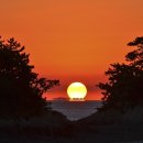 서해바다영어조합법인 이미지