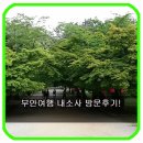 곰소넝쿨젓갈 | 전북 부안여행 내소사 방문후기!곰소젓갈 넝쿨젓갈 아지매와 내소사 방문!