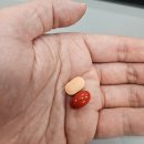 센스종합상사 | 겨울철 건강관리 위해 준비한 헬씨디어 퍼펙트 이뮨 후기