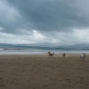 지상낙원 이미지