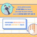 훈 동물병원 이미지