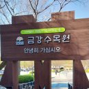 나이테매점