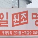 육일원조명태탕 티스토리