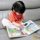 잉글리쉬스타 유아영어 센터 | 홈스쿨 엄마표 유아영어 잉글리시에그 정회원혜택