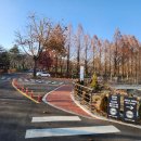 아리아 호스텔 이미지