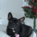 머뭉공간 이미지