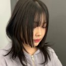 젤라헤어 이미지