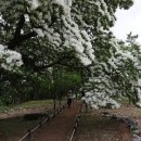 무한사랑 이미지