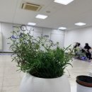 청주시 상당정신건강복지센터 | 청주시상당정신건강복지센터에 다녀왔습니다.