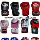 트윈스 MMA 이미지