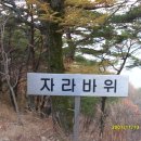 자라바위 이미지
