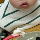 강릉실비식당 | 강릉 | 주문진 생선구이 실비생선구이 본점 작은집