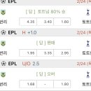 리즈펠리스