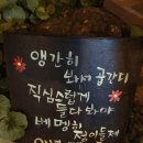 여수준호네생선