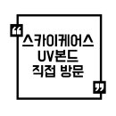 스카이케어스 이미지