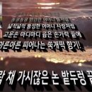 쑥개떡 / 한기호 이미지