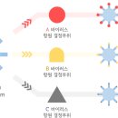 제이비바이오 이미지