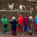 꿈의유치원 이미지