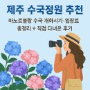 제주블랑 | 2025 제주 수국정원 추천｜마노르블랑 수국 개화시기·입장료 총정리와 다녀온 후기