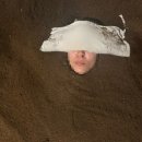 초전사우나 | 진주 효소찜질 금화효소원