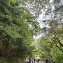 남원자연휴양림 | [전북: 남원, 무주] 남원 자연휴양림, 덕유산 국립공원, 구천동 계곡, 생두부촌, 덕유산 곤돌라, 향적봉...