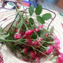 대원보건진료소 이미지