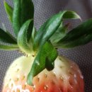 순기농장 이미지