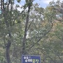 장수원목장 네이버블로그