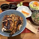 진영시민갈비 | @26년 1, 2월 월간기록(빈티지 엘엘빈, 에스파이, 어떻게 민주주의는 무너지는가, 바자라, 토오루)