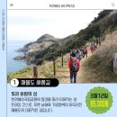 꽃의섬 | 부산출발 섬투어 1탄｜매물도 해품길 트레킹 첫 시작 후기