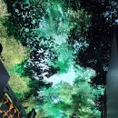 ○ INSPIRE ARENA ○ 이미지