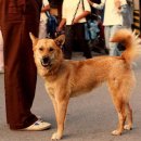 검산농장 이미지