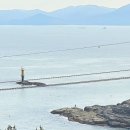 스테이 다옴 이미지