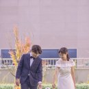 호가네스냅 | 화성 돌스냅 가족스냅 출장 호가네스냅! 돌잔치 사진 후기