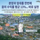 아델리아 이미지