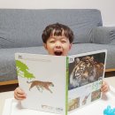 산중노래연습장 | 자연관찰하며 신나는 동요까지! 5세 전집추천 블루래빗 생생자연관찰