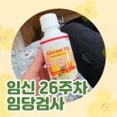 새힘찬한병원 | [임신 26주차] 대구 효성병원에서 임당 검사하기. 감귤이 이제 kg 단위!
