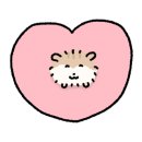 오토케이브 이미지