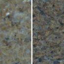 J.K 농장 이미지