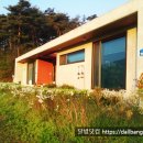 솔숲산