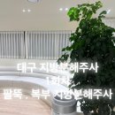 공도약국 | [대구 비만클리닉] 하프컷 복부 팔뚝지방분해주사 1회차 솔직 후기