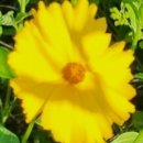 한글서예(중급) 이미지