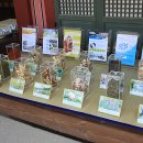 (유)대효제약 이미지